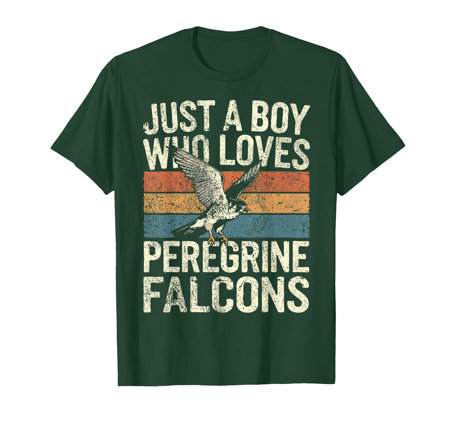Falconer Boy Loves Peregrine Falcons Falconry T-Shirt