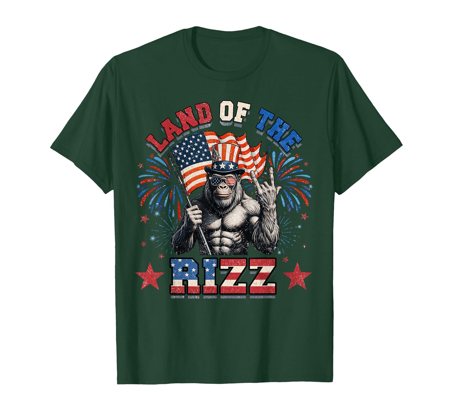 Land Of The Rizz 4th Of July T-Shirt