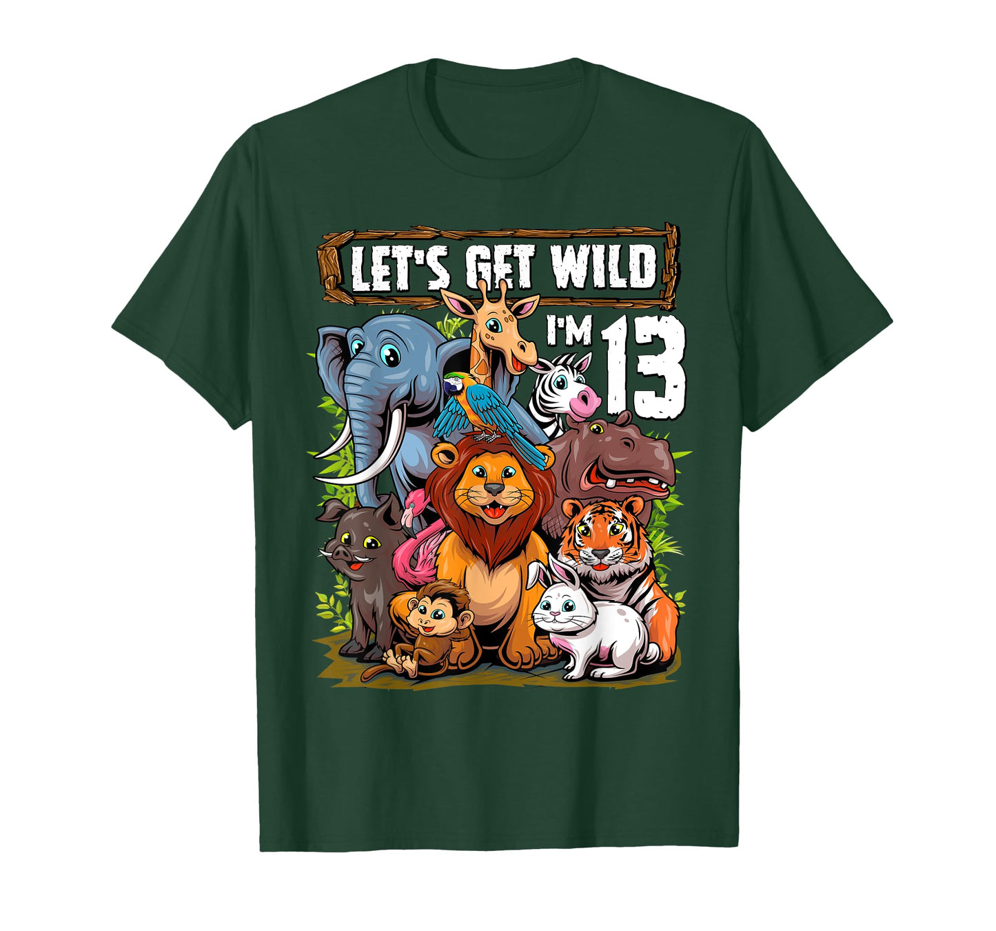 13 Year Old Zoo Birthday Safari Jungle Animals 13th Birthday T-Shirt