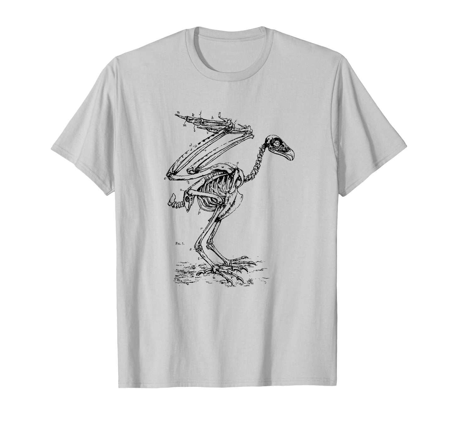 Vintage Eagle Skeleton - Scientific Diagram Bird Skull T-Shirt