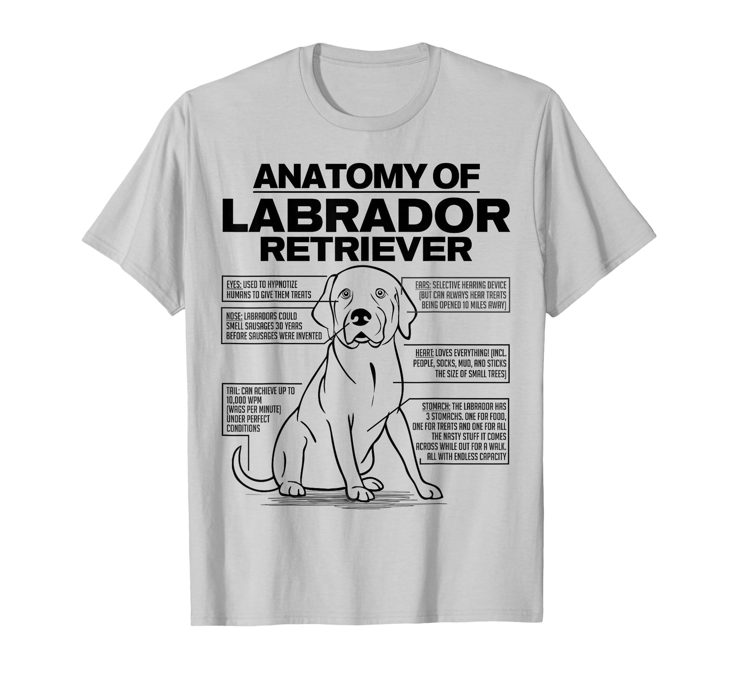 Anatomy of a Labrador Retriever Funny Dog owner gifts shirt T-Shirt