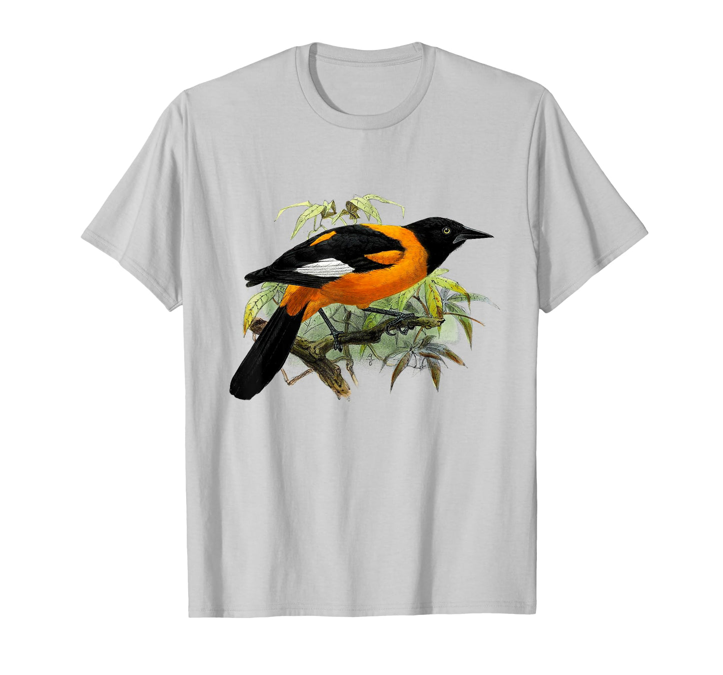 Vintage Oriole bird common in Baltimore Maryland T-Shirt