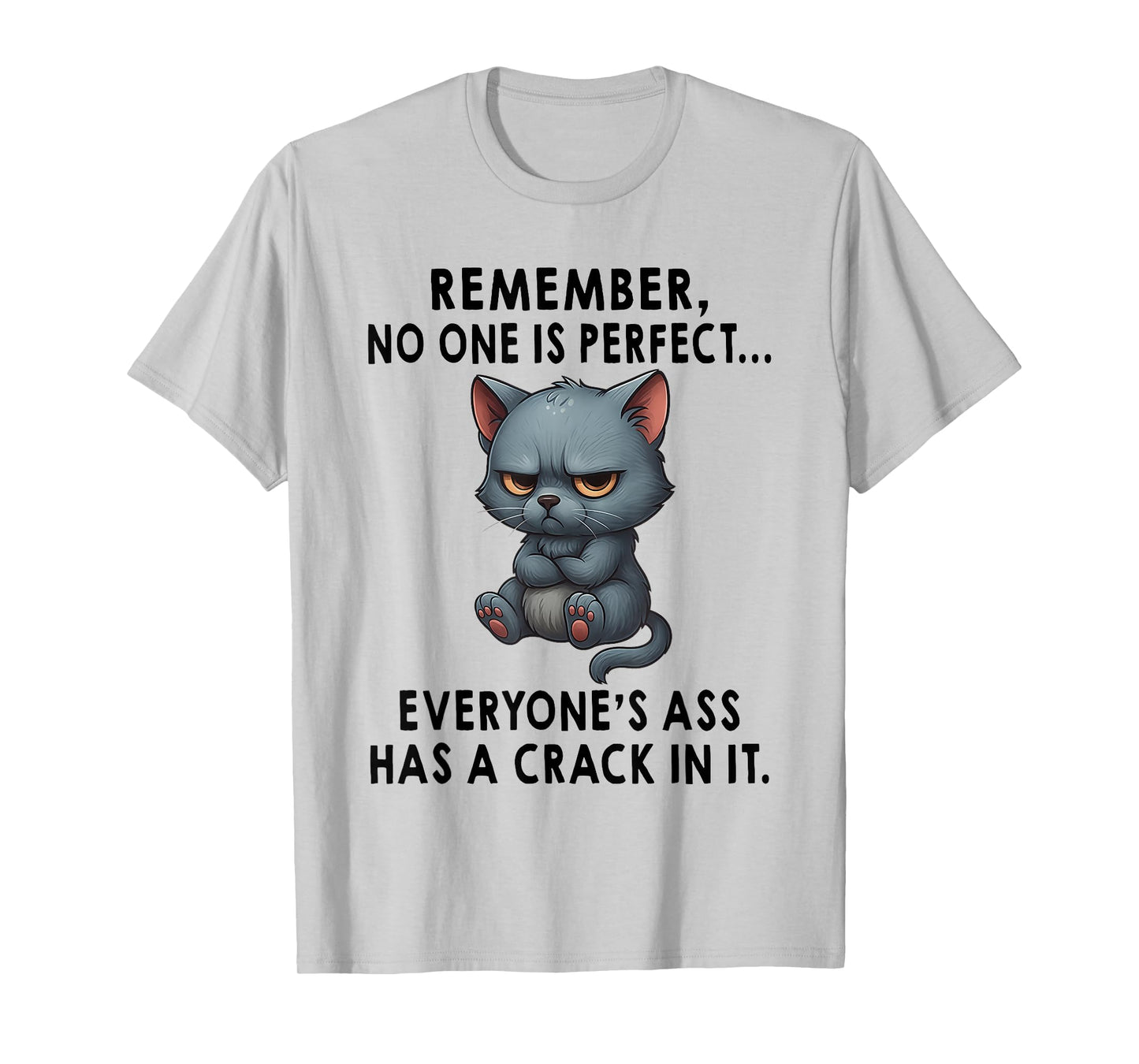 Remember No One is Perfect Everyone's Ass Has A Crack in It T-Shirt