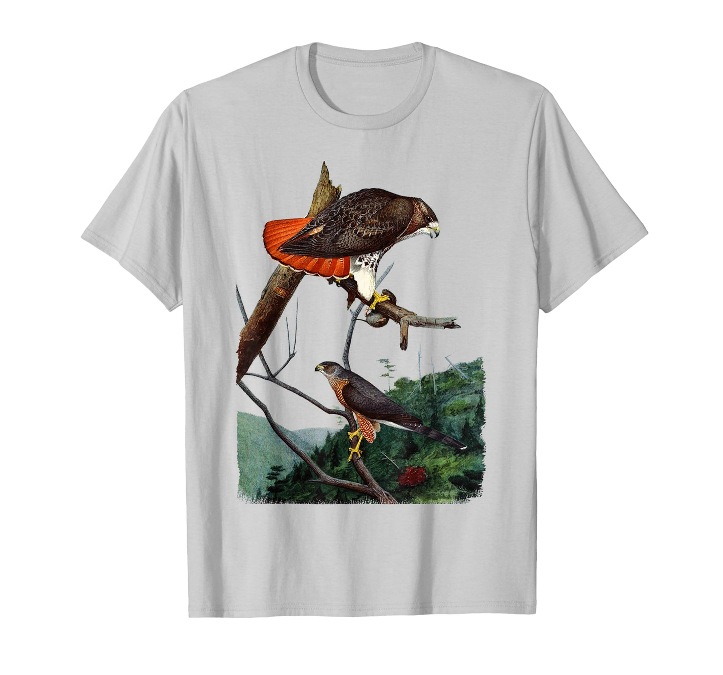 Red Tailed Hawk Red-Tailed Hawk Birder Gift T-Shirt
