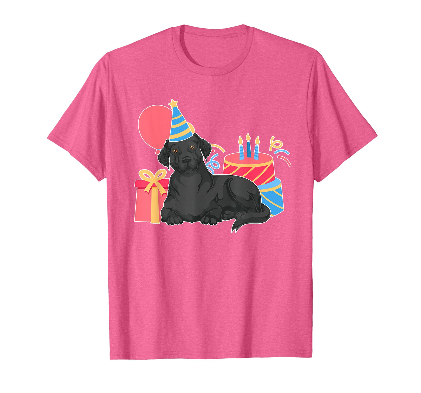Black Labrador Lover Dog Owner Kids Birthday Party Black Lab T-Shirt