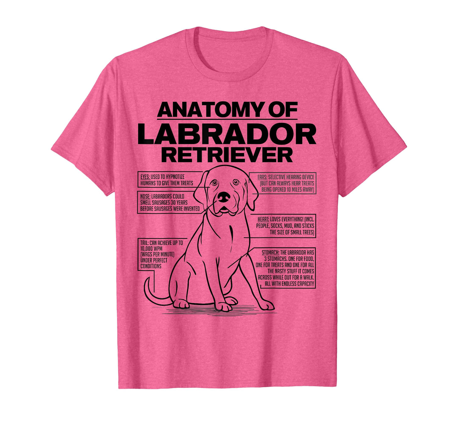 Anatomy of a Labrador Retriever Funny Dog owner gifts shirt T-Shirt