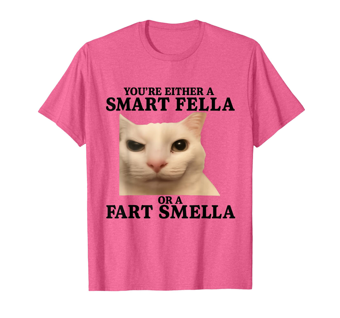 Funny You're Either a Smart Fella or a Fart Smella Cat Quote T-Shirt