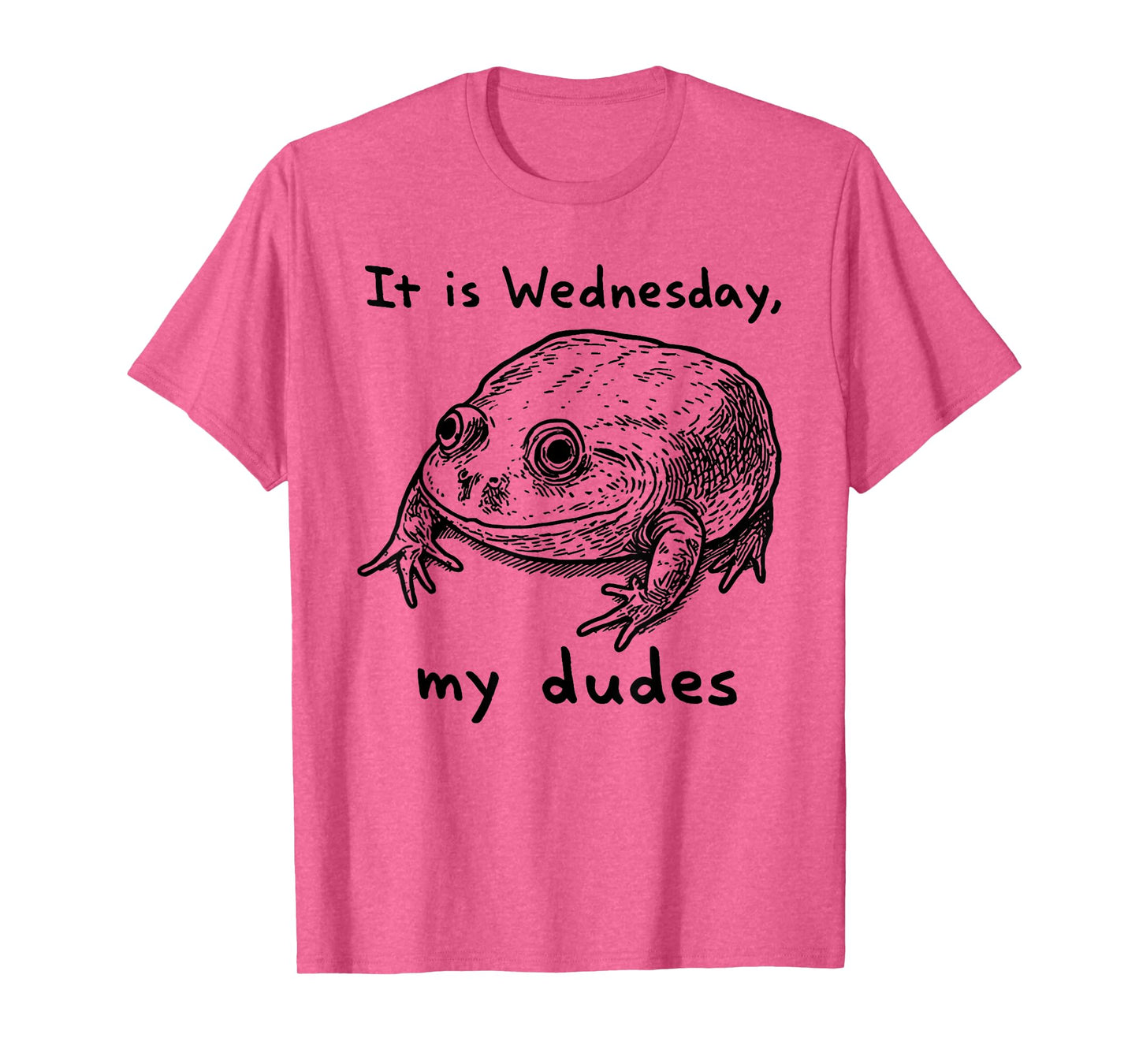 Retro It Is Wednesday My Dudes Funny Frog T-Shirt