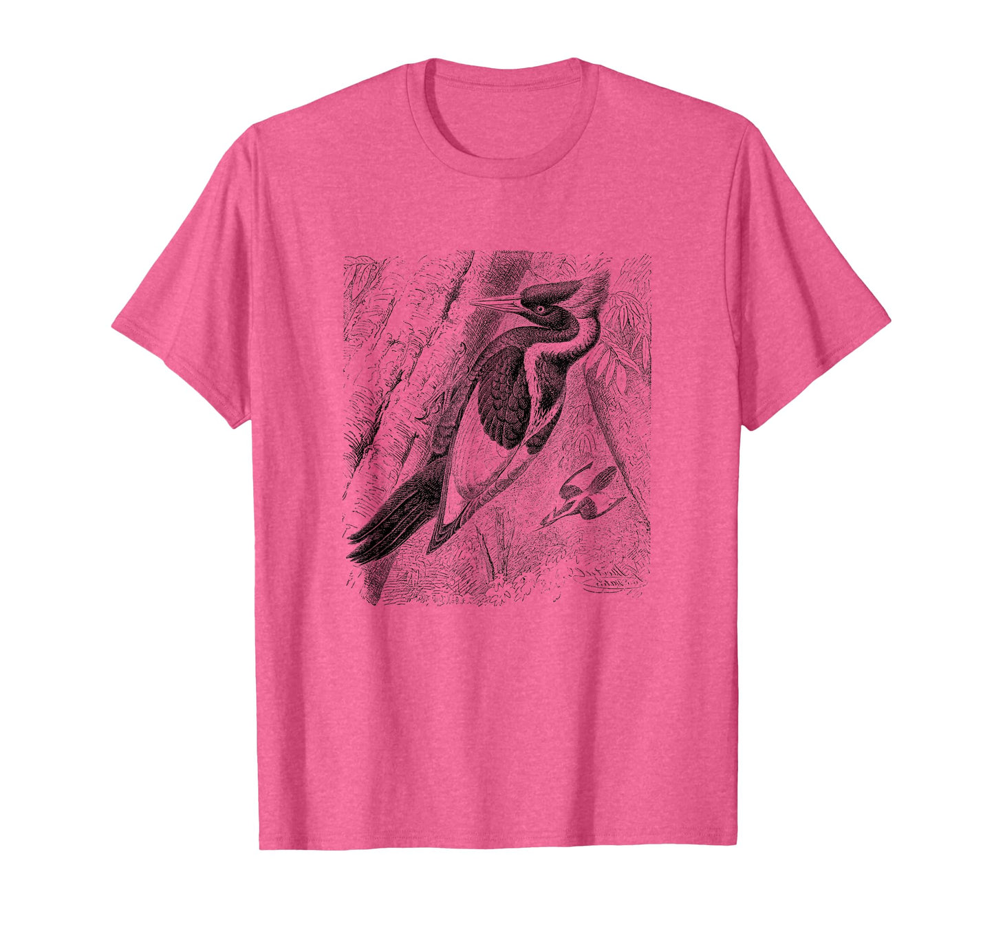 Ivory Billed Woodpecker Print T-Shirt T-Shirt