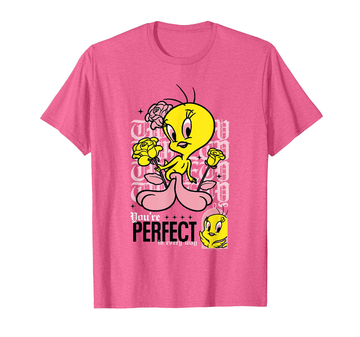 Looney Tunes Tweety Bird You're Perfect In Every Way Retro T-Shirt