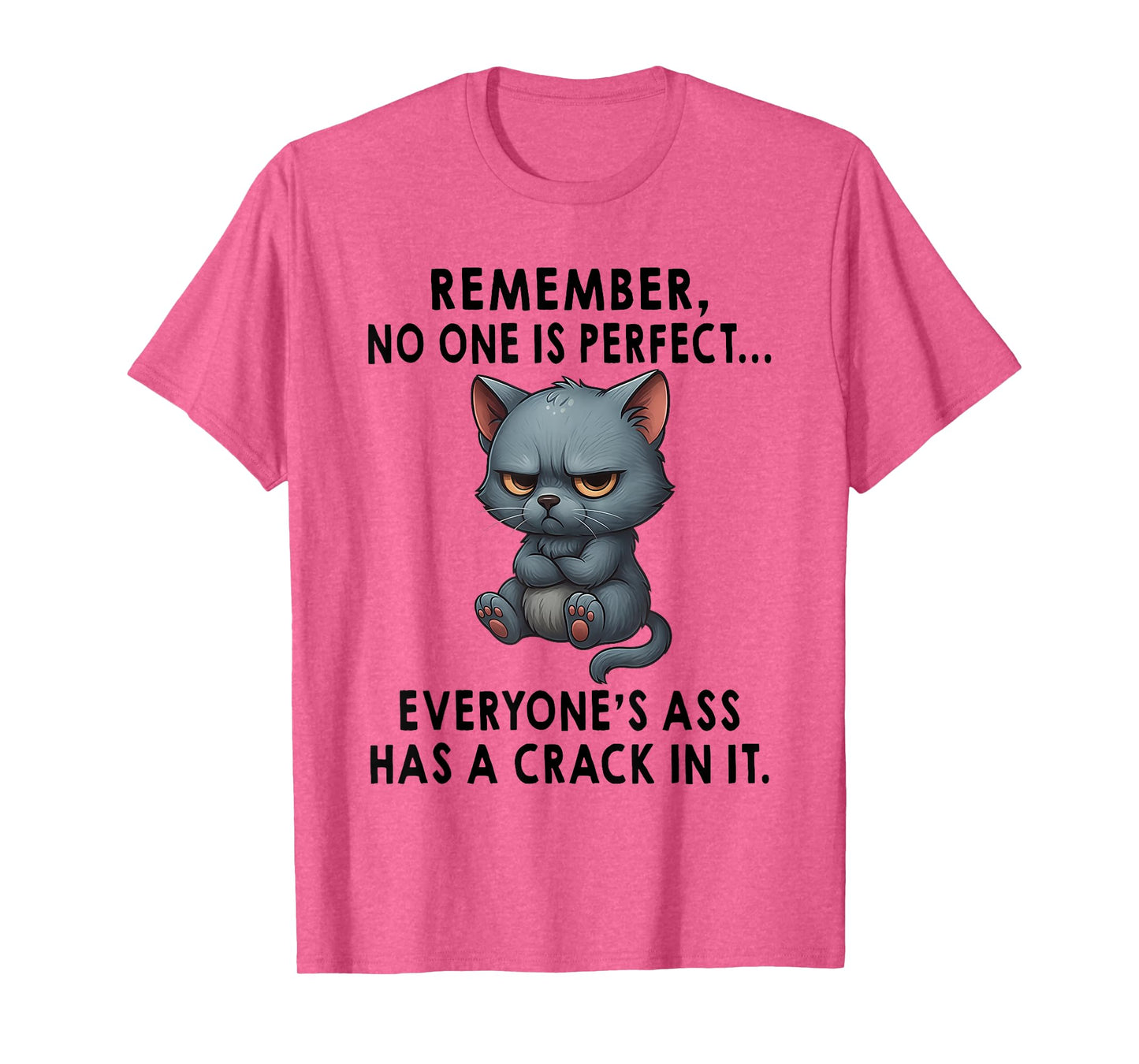 Remember No One is Perfect Everyone's Ass Has A Crack in It T-Shirt