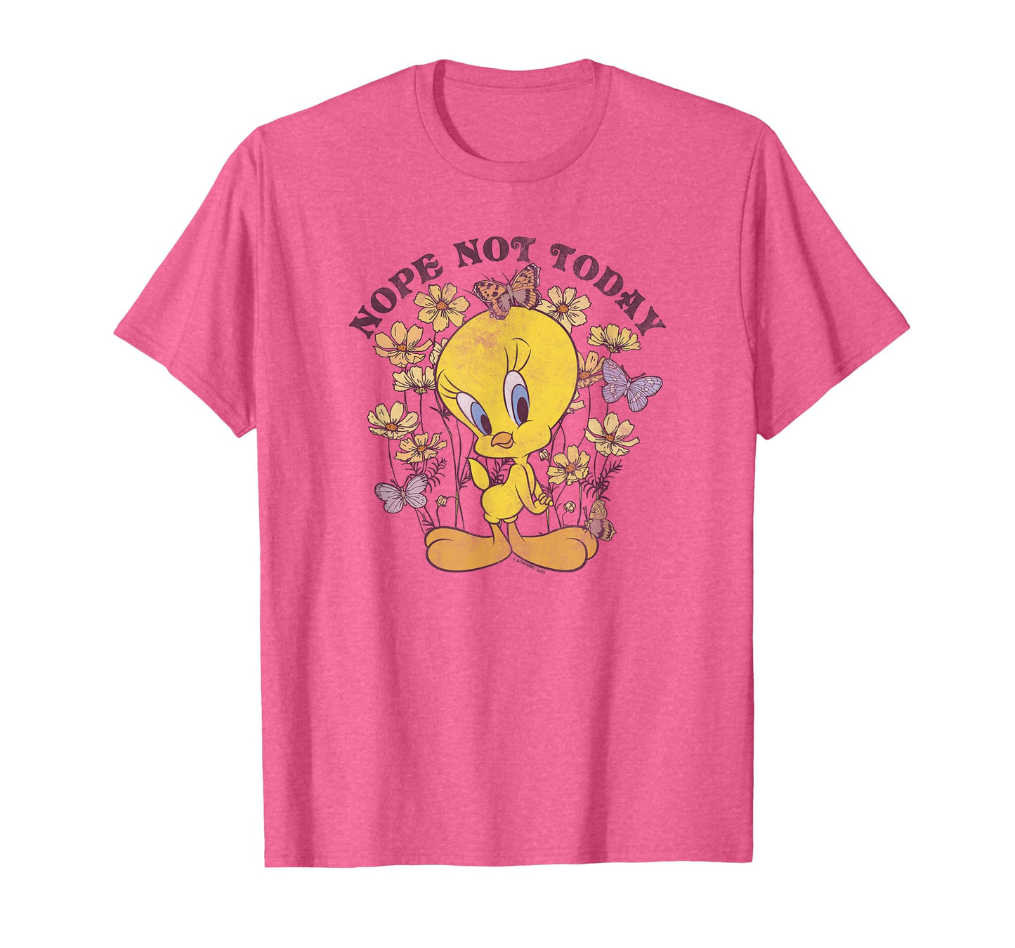 Looney Tunes Tweety Bird Floral Butterfly Nope Not Today T-Shirt