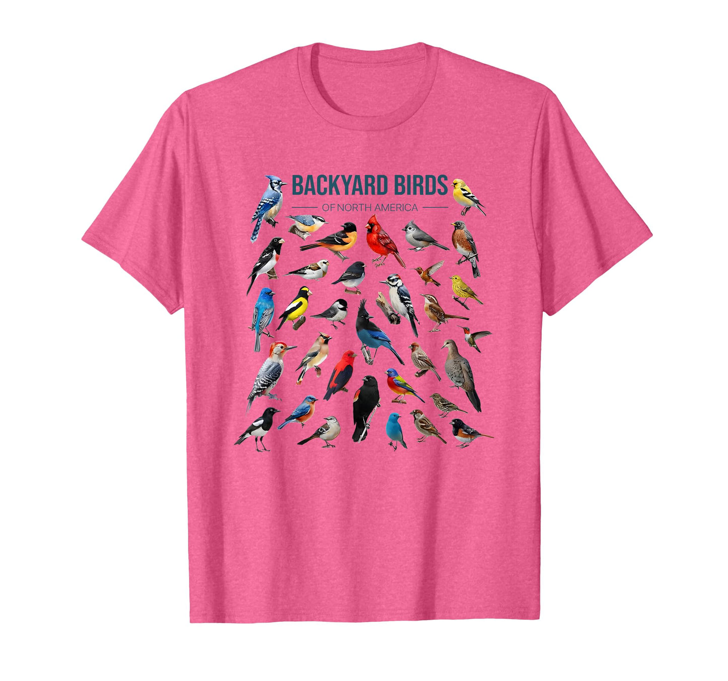 Backyard Birds Of North America T-Shirt