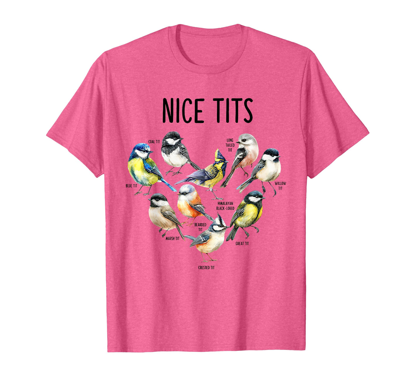Retro Funny Nice Tits Birds Birdwatcher Bird Watching Humor T-Shirt