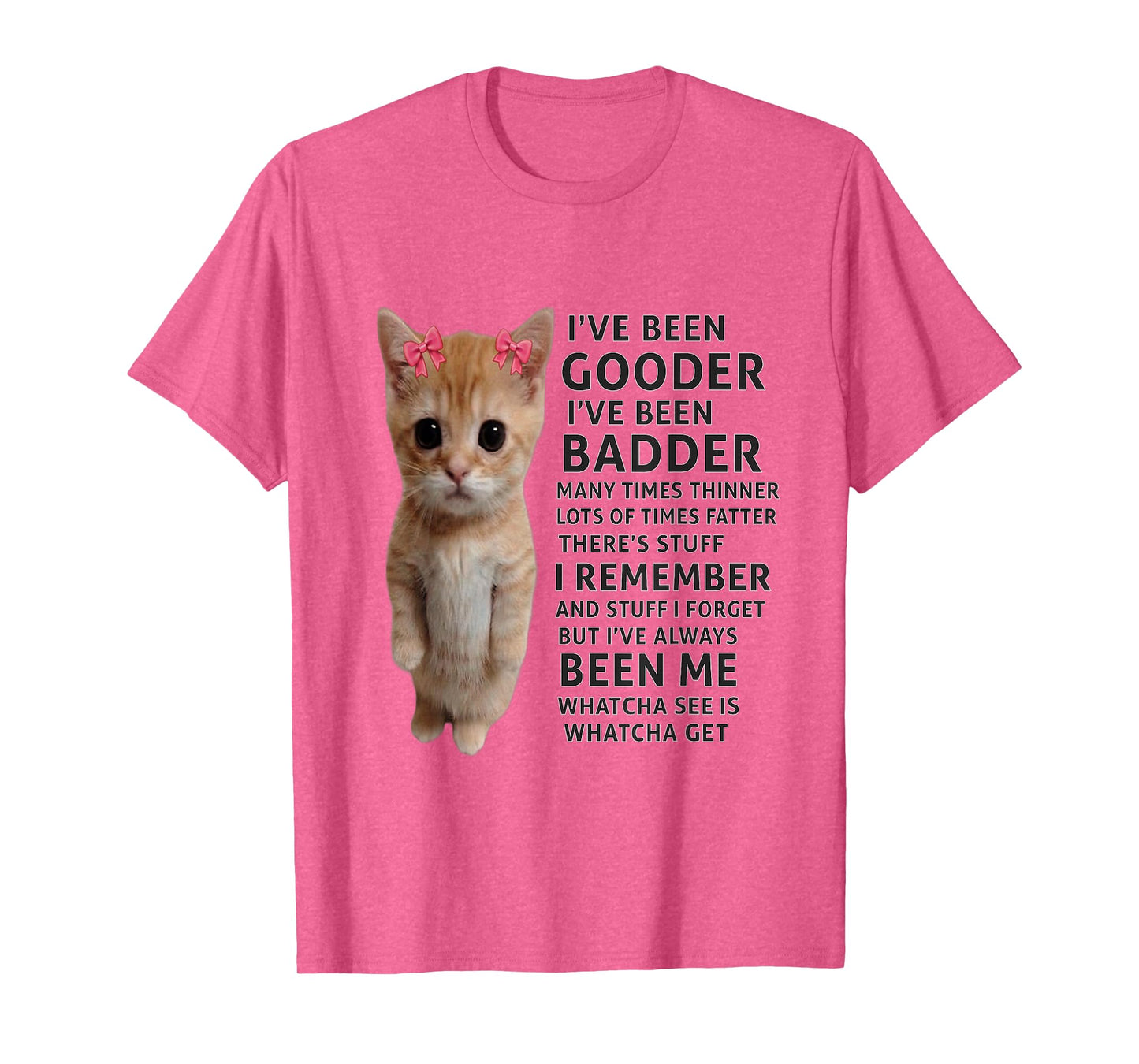 I've Been Gooder I've Been Badder Many Times Thinner cat T-Shirt