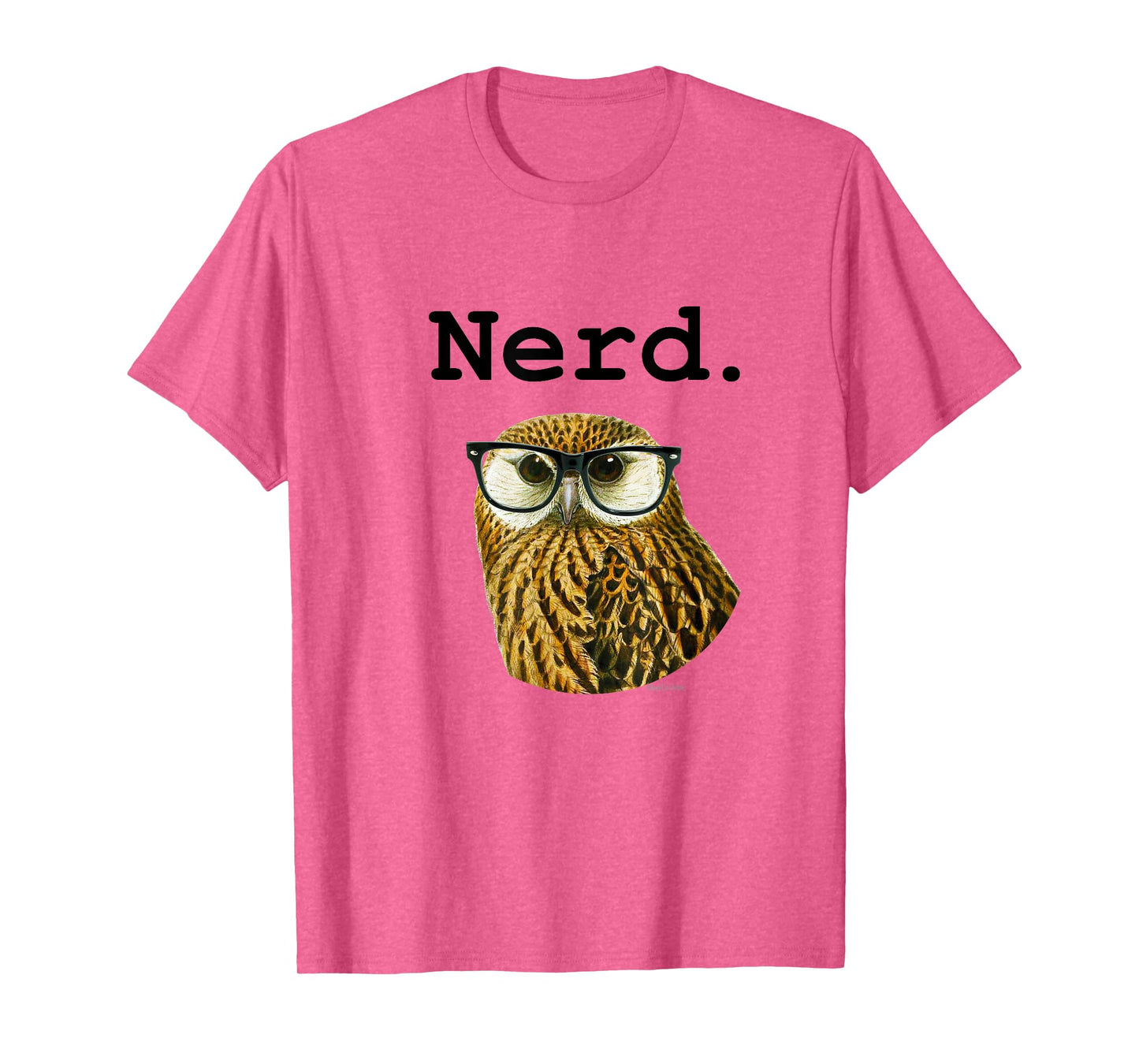 The Nerd Bird Owl with Glasses Nerd Dork Shirt T-Shirt