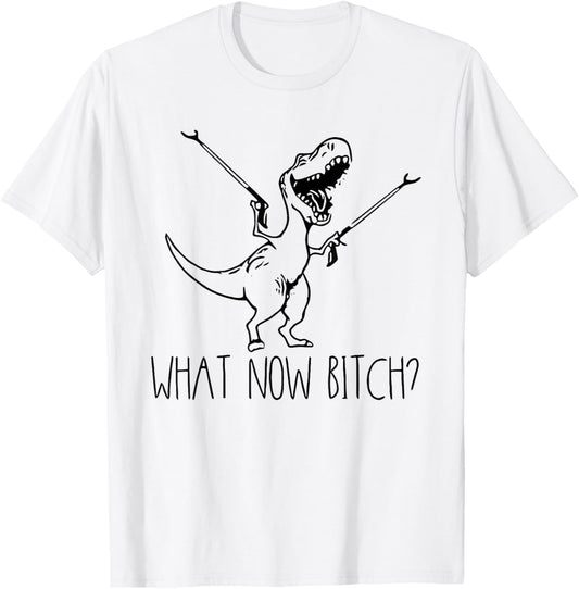 What Now Bitch T-Rex Dinosaur Lover Funny Meme T-Shirt