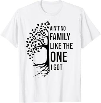 Ain't No Family Like The One I Got Funny Family Reunion T-Shirt