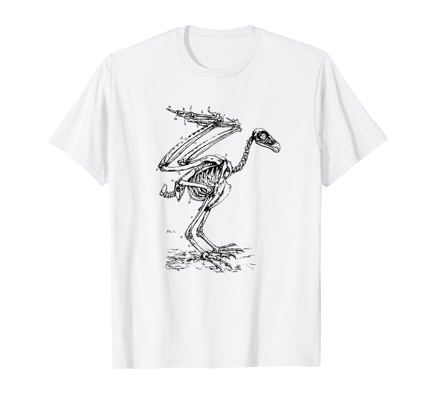 Vintage Eagle Skeleton - Scientific Diagram Bird Skull T-Shirt
