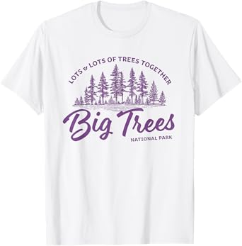 Big Trees Park - Hanson Band Fan Concert Tour Wear T-Shirt