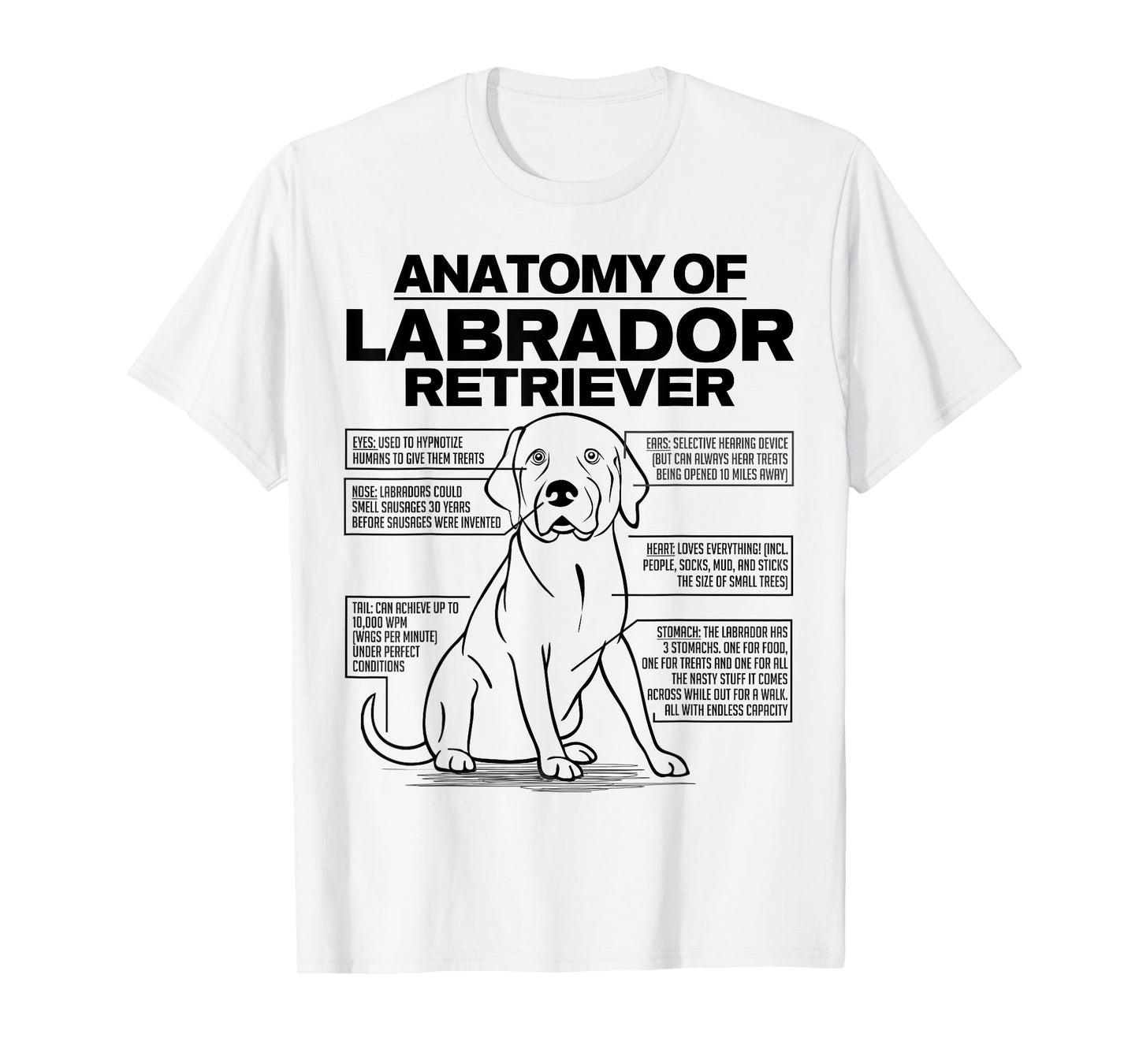 Anatomy of a Labrador Retriever Funny Dog owner gifts shirt T-Shirt