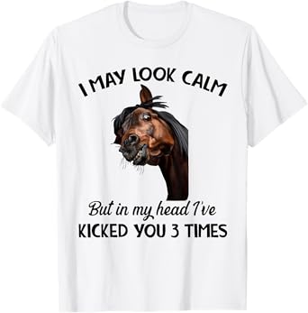 I may look calm but in my head I've kicked you 3 times T-Shirt