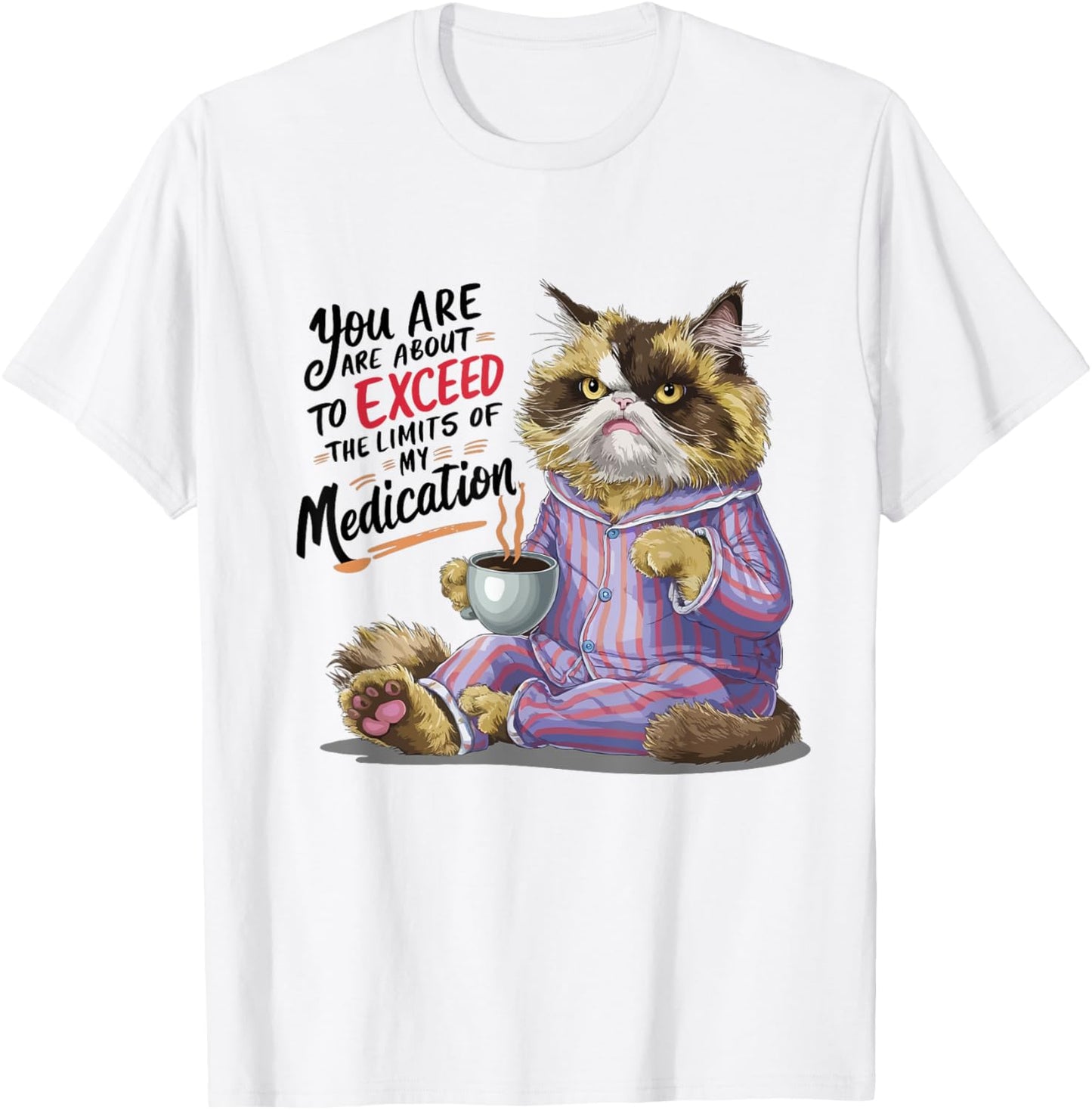 You Are About To Exceed The Limits Of My Medication Funny T-Shirt, Small, White
