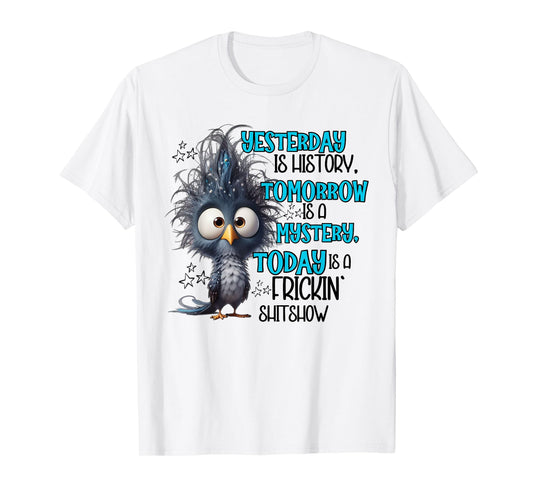 Yesterday is a history tomorrow is a mistery today funny T-Shirt