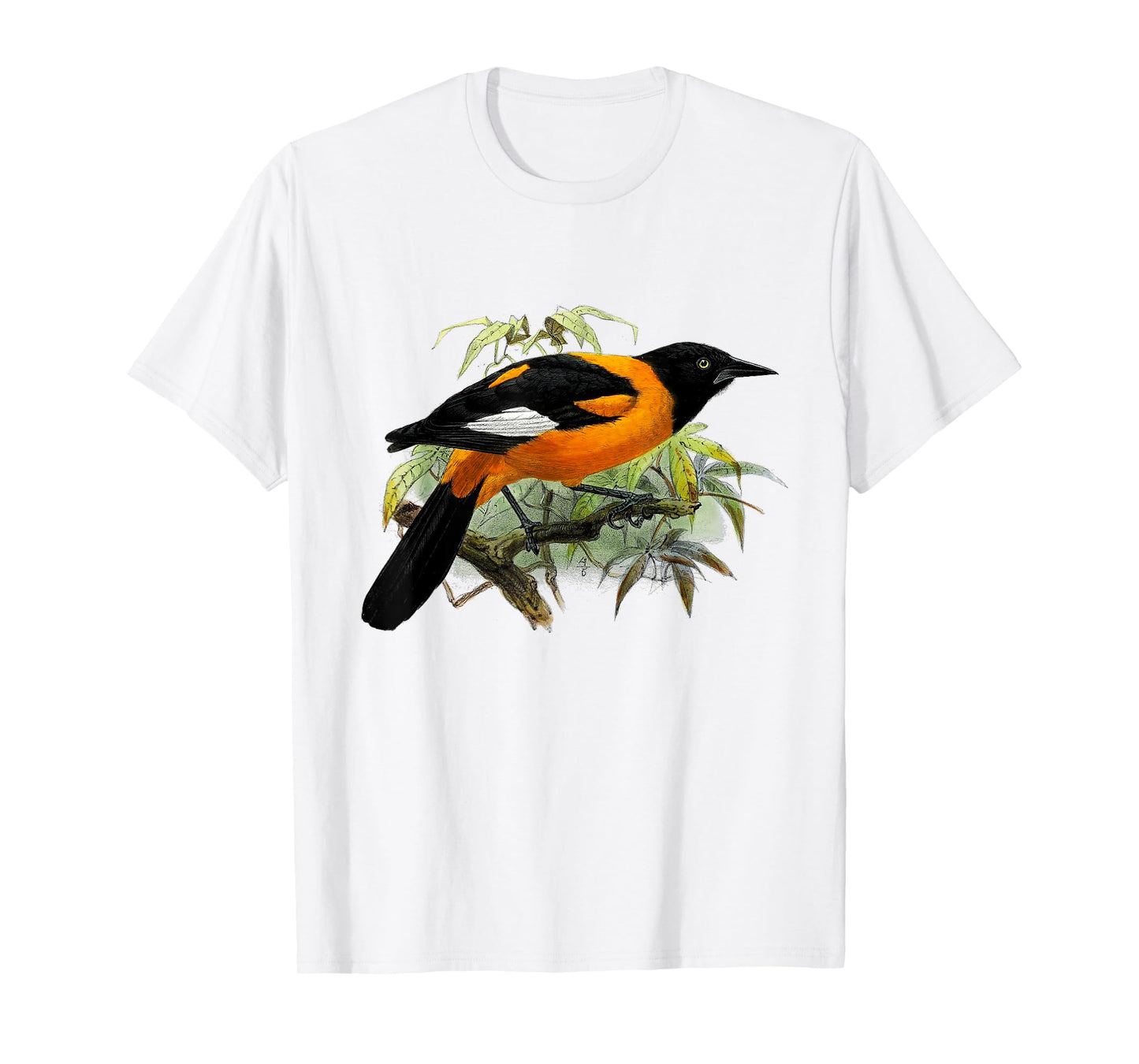Vintage Oriole bird common in Baltimore Maryland T-Shirt