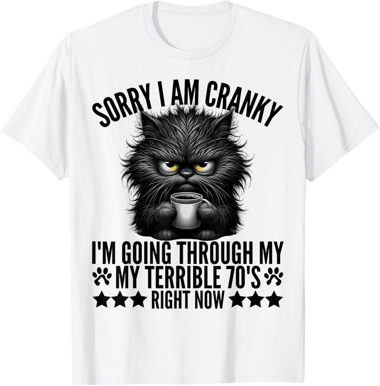 Sorry I'm Cranky I'm Going Through My Terrible 70's Fun Cat T-Shirt