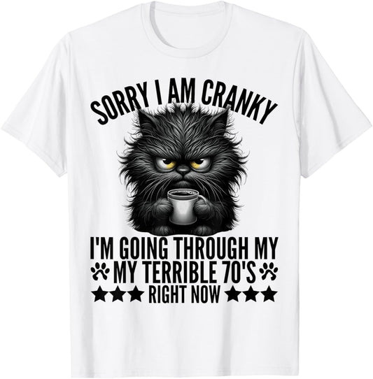 Sorry I'm Cranky I'm Going Through My Terrible 70's Fun Cat T-Shirt