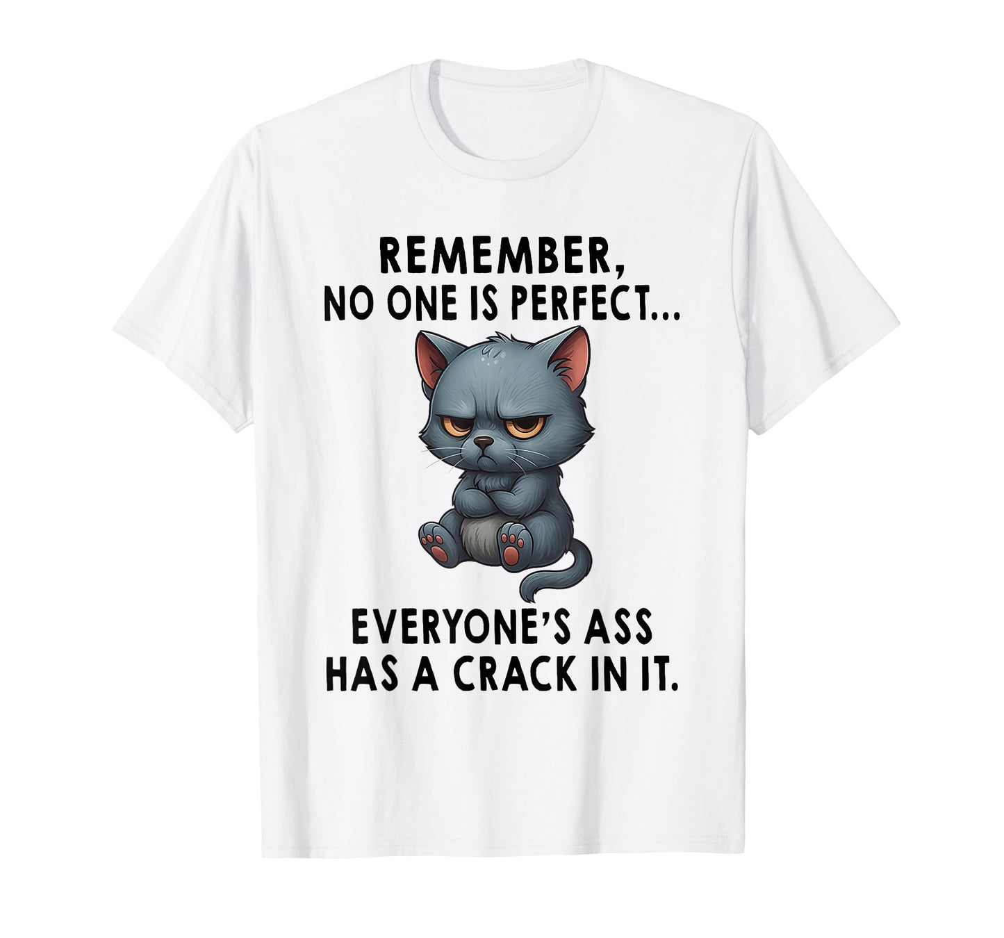 Remember No One is Perfect Everyone's Ass Has A Crack in It T-Shirt