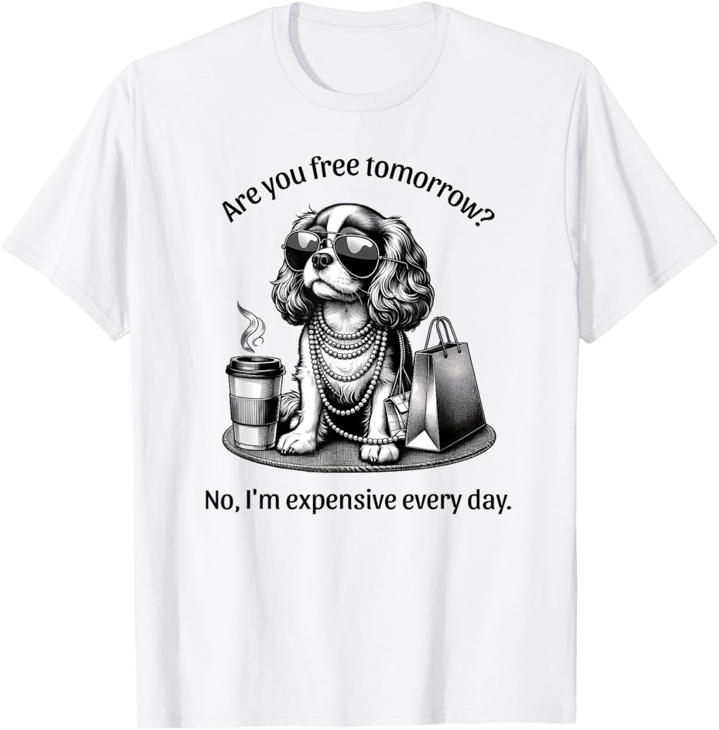 Are You Free Tomorrow? No, I'm Expensive Every Day T-Shirt