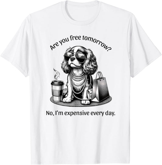 Are You Free Tomorrow? No, I'm Expensive Every Day T-Shirt