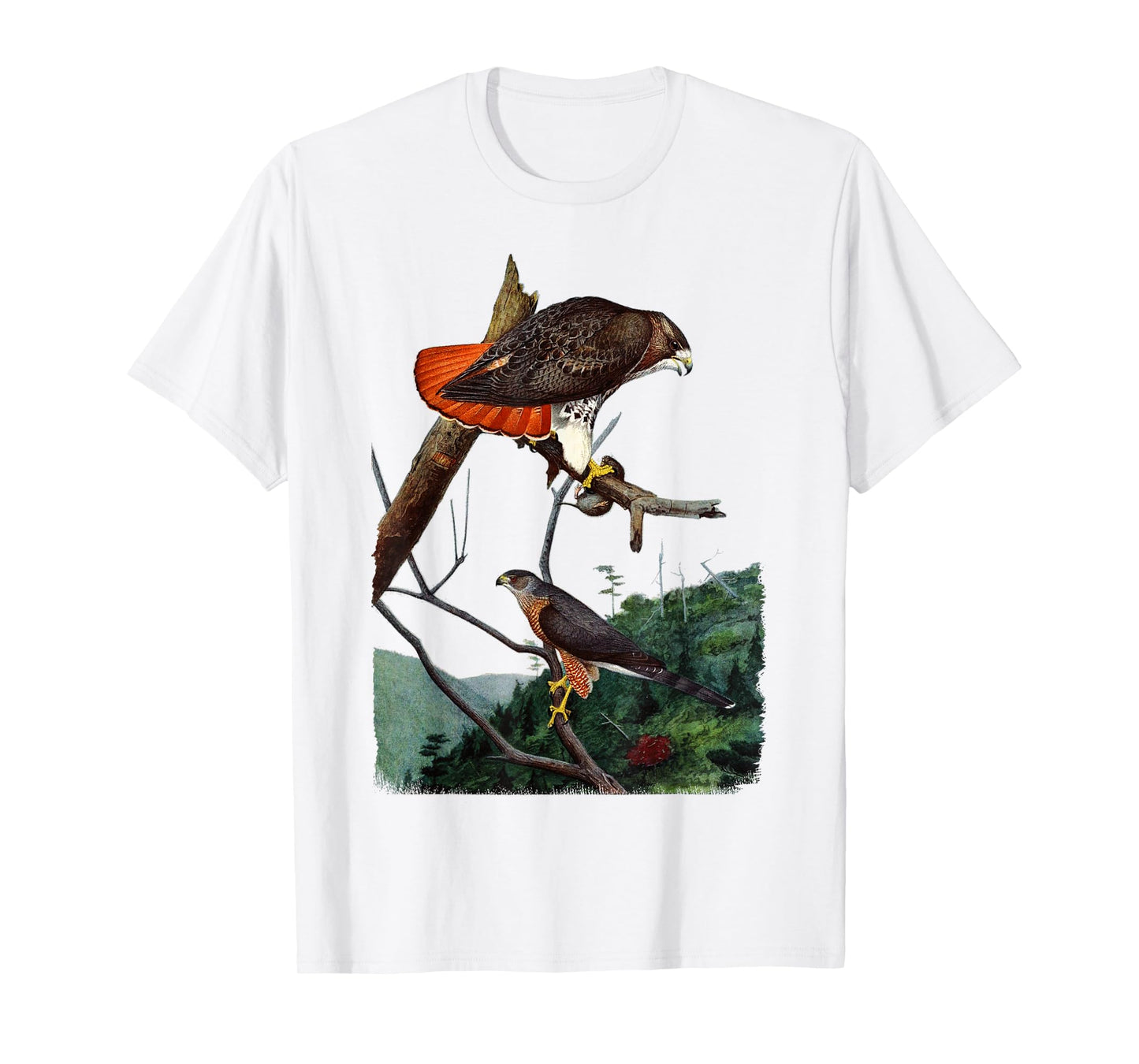 Red Tailed Hawk Red-Tailed Hawk Birder Gift T-Shirt