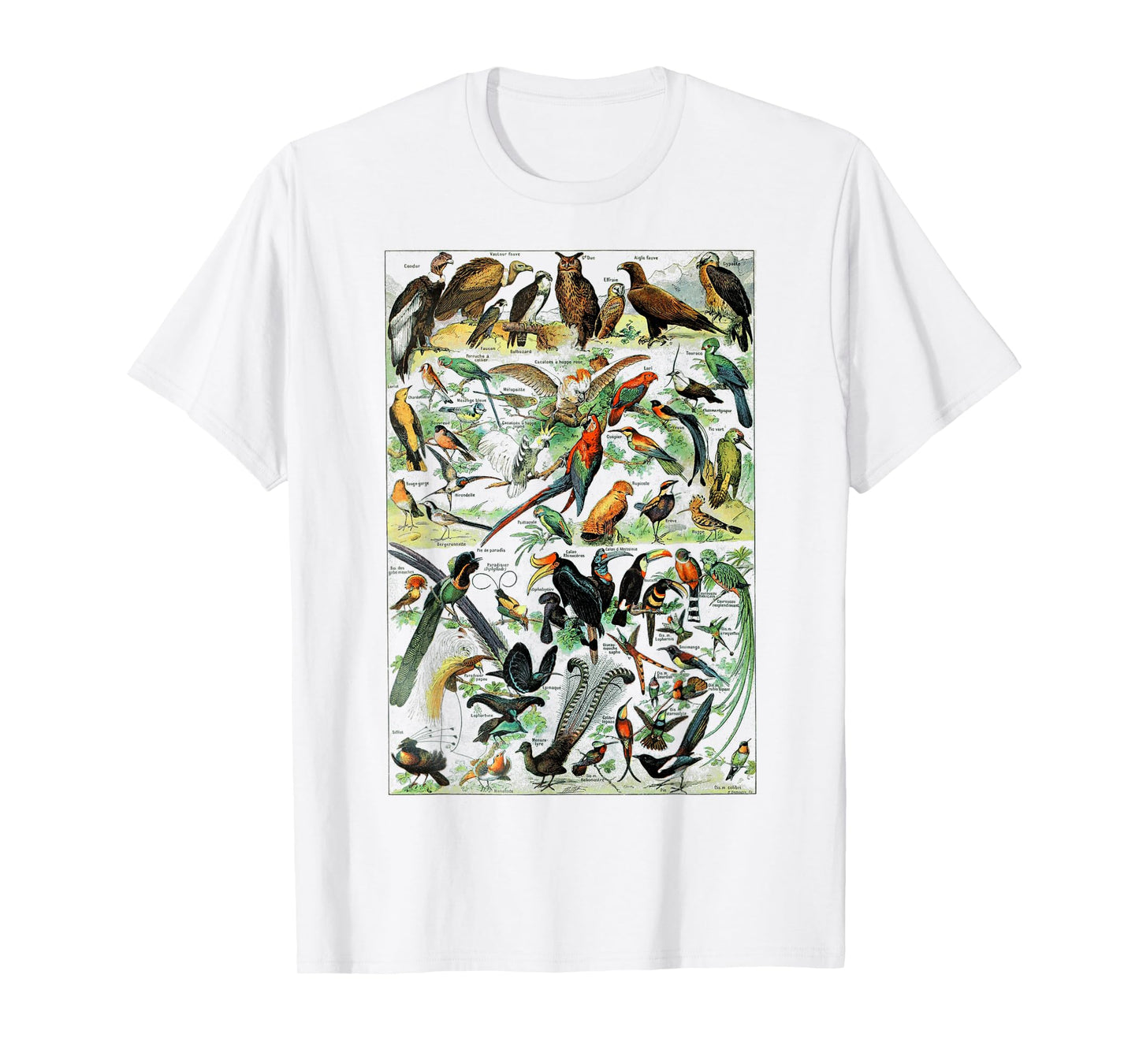 Bird Nature Birding Watcher Ornithology chart Types of birds T-Shirt