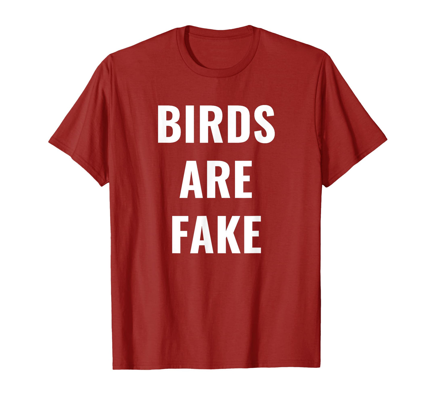 Birds are Fake - Meme T-Shirt