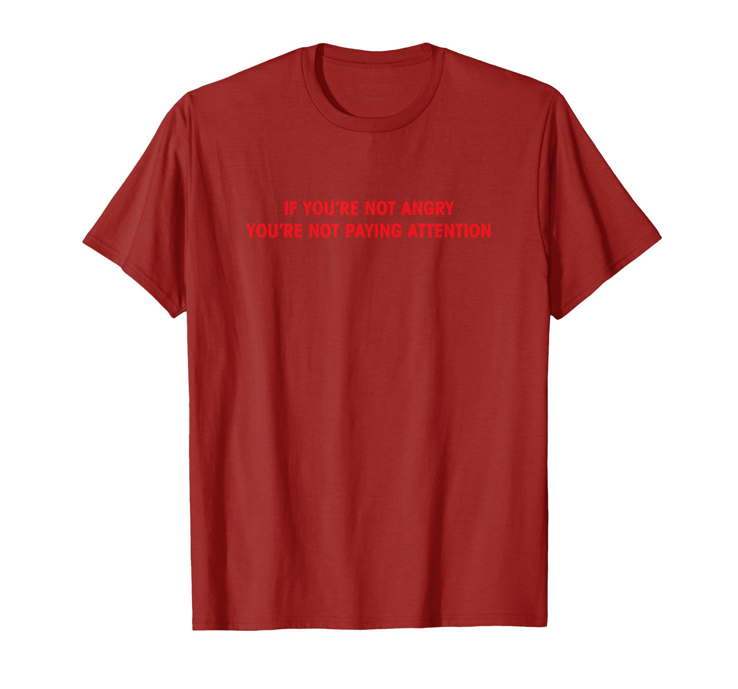 If You're Not Angry You're Not Paying Attention T-Shirt