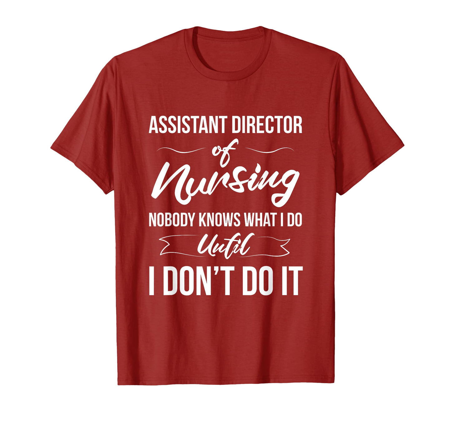 Assistant Director Of Nursing - Nobody Knows What I Do T-Shirt
