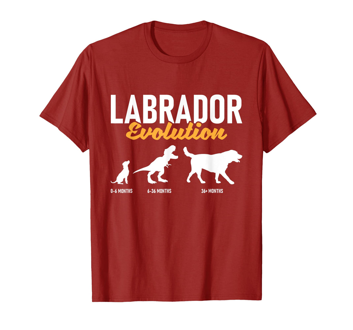 Labrador Evolution - Pet Owner Animal Dog Lover T-Shirt