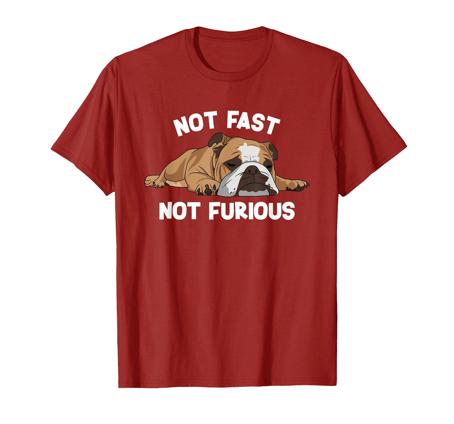 English Bulldog Sleeping Not Fast Not Furious Funny Slogan T-Shirt for Men Women Girls Kids