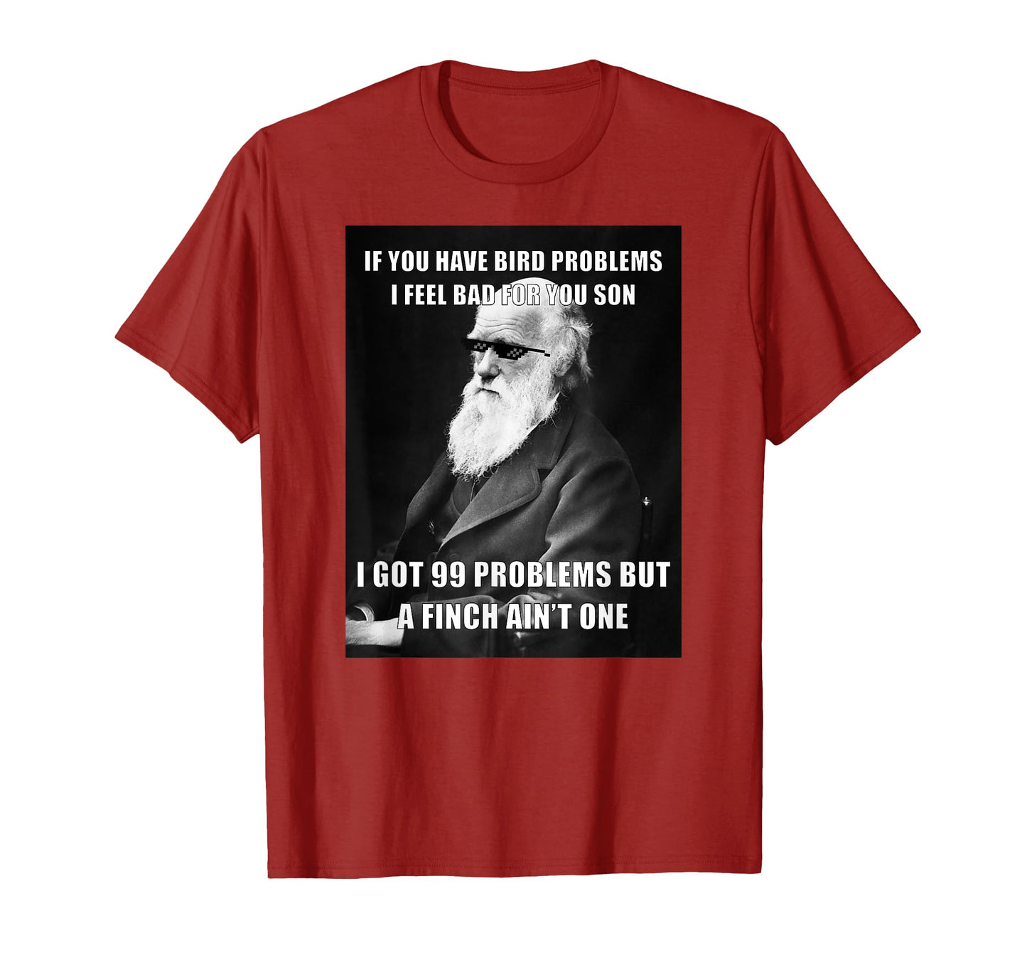 Funny Charles Darwin 99 Problems Meme Science T-Shirt T-Shirt