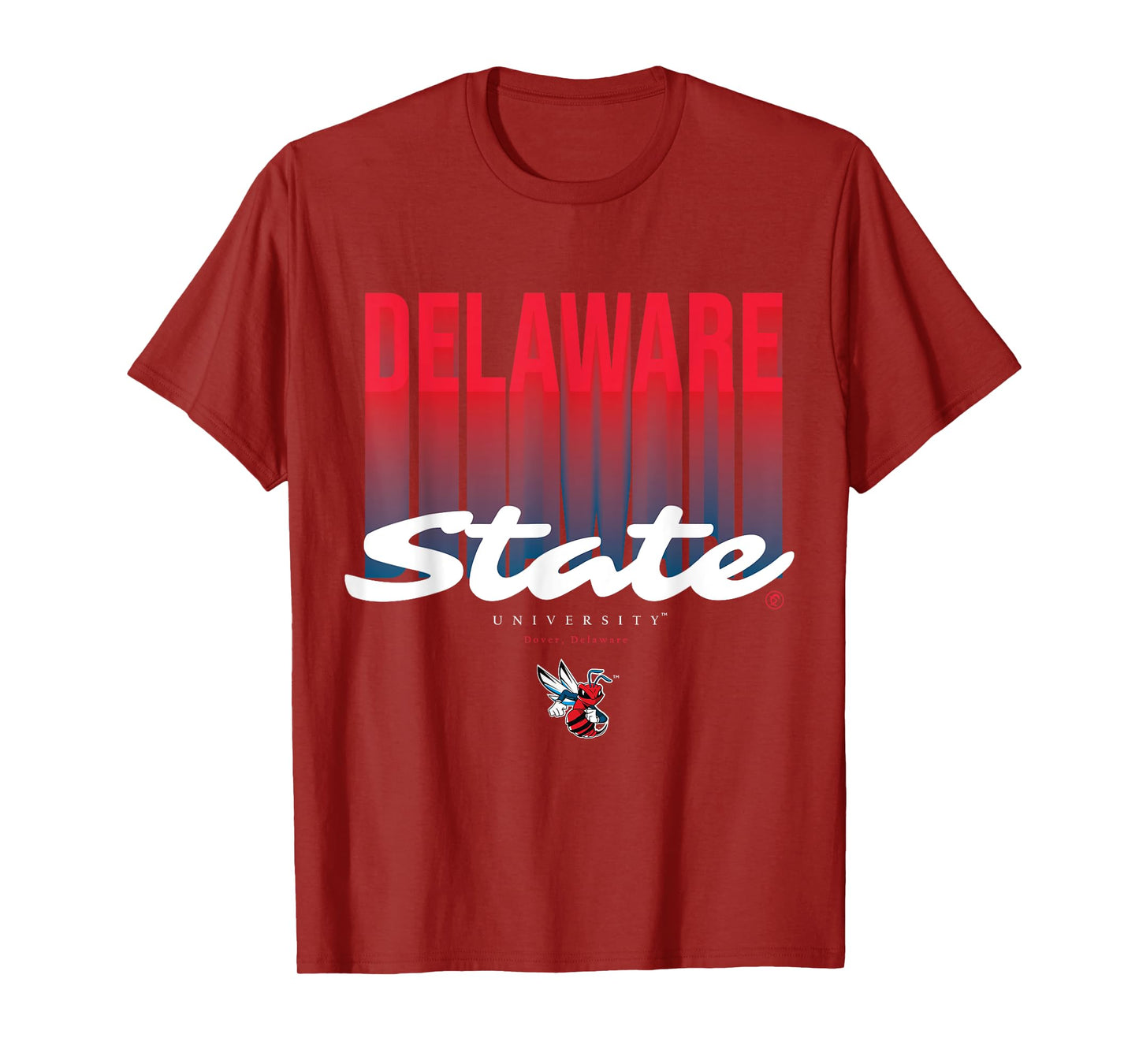 The Yard Essentials - Delaware State University - DSU Fade T-Shirt