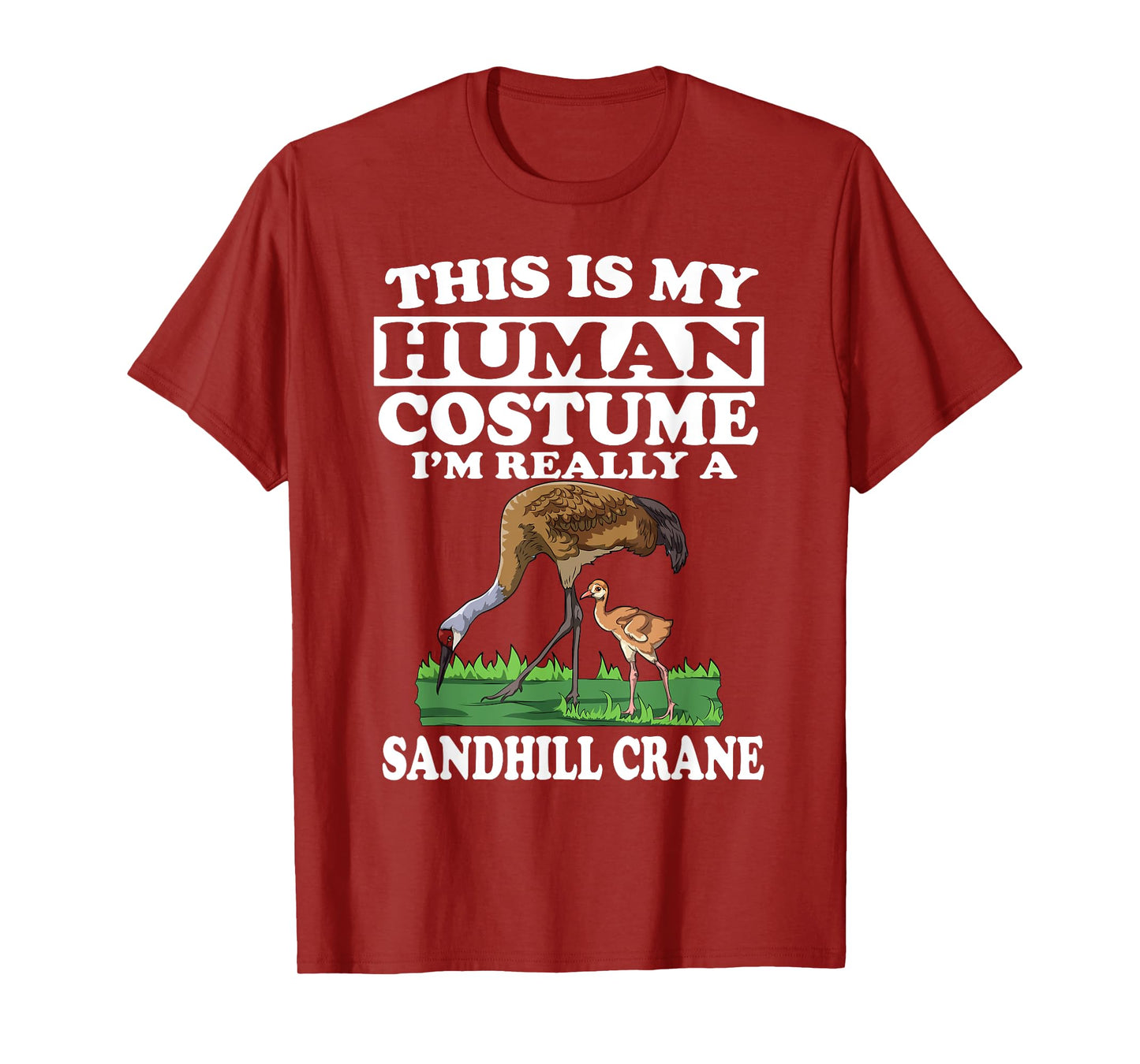 This Is My Human Costume I'm Really A Sandhill Crane Birding T-Shirt