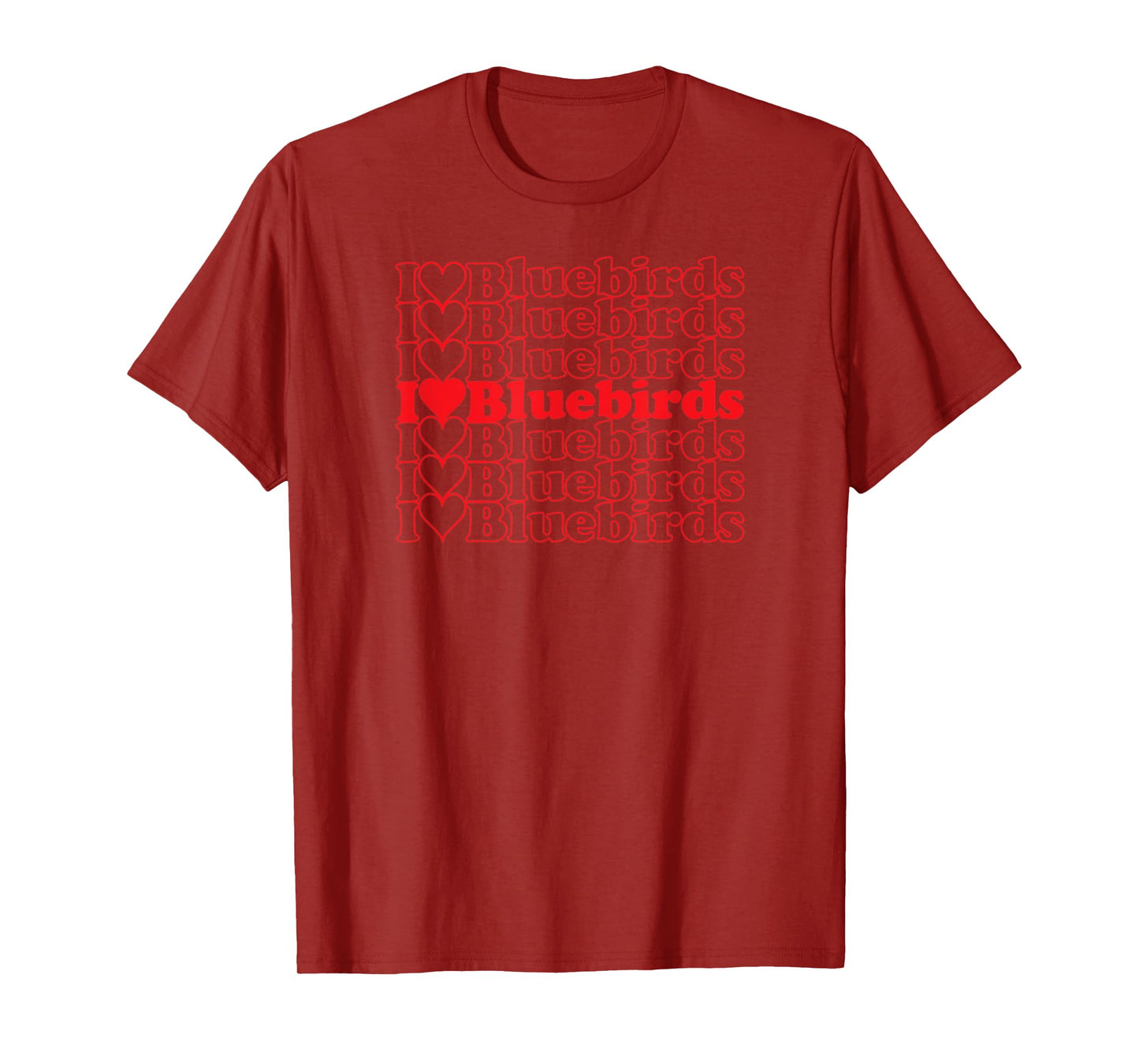 Bluebirds Cool Vintage Inspired Bird Watchers T-Shirt
