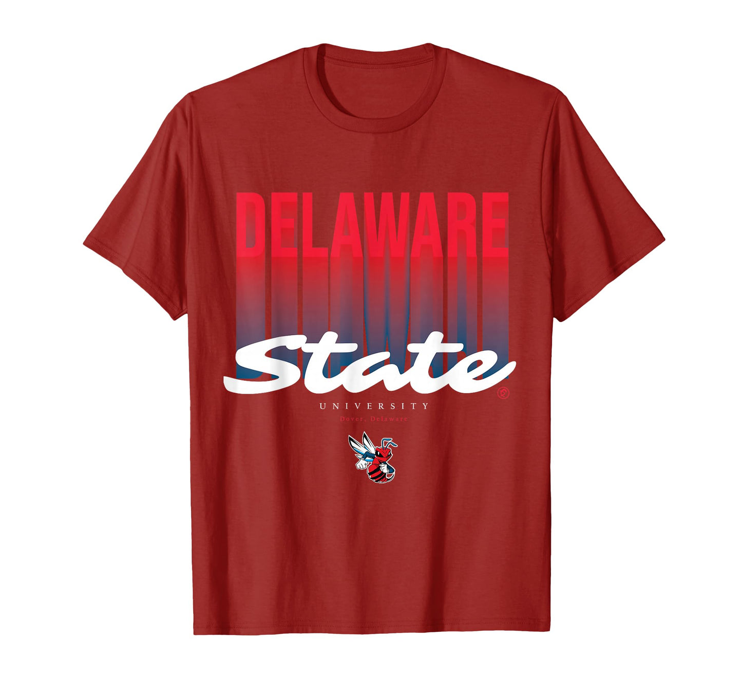 The Yard Essentials - Delaware State University - DSU Fade T-Shirt