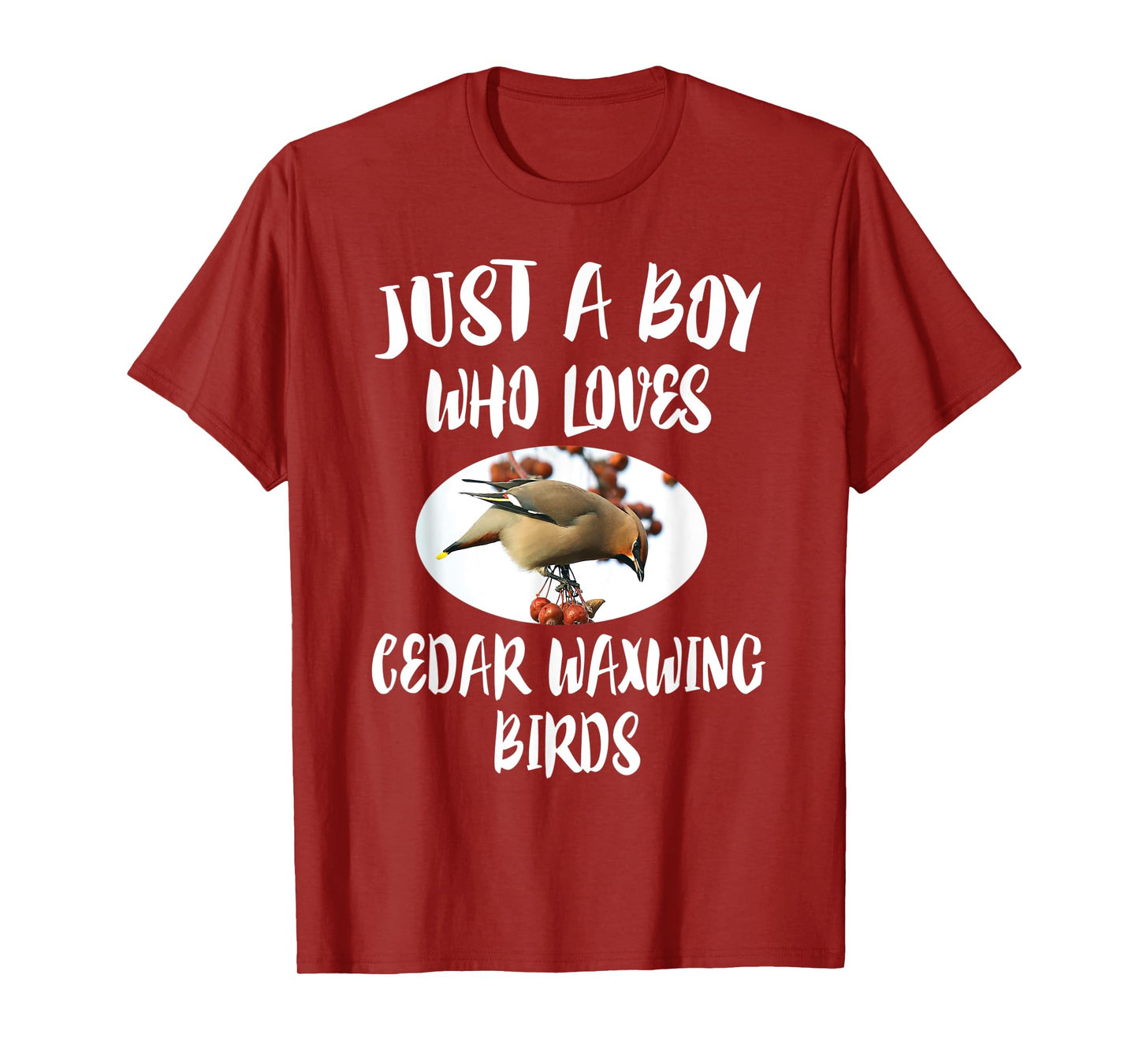 Just A Boy Who Loves Cedar Waxwing Birds Gift T-Shirt