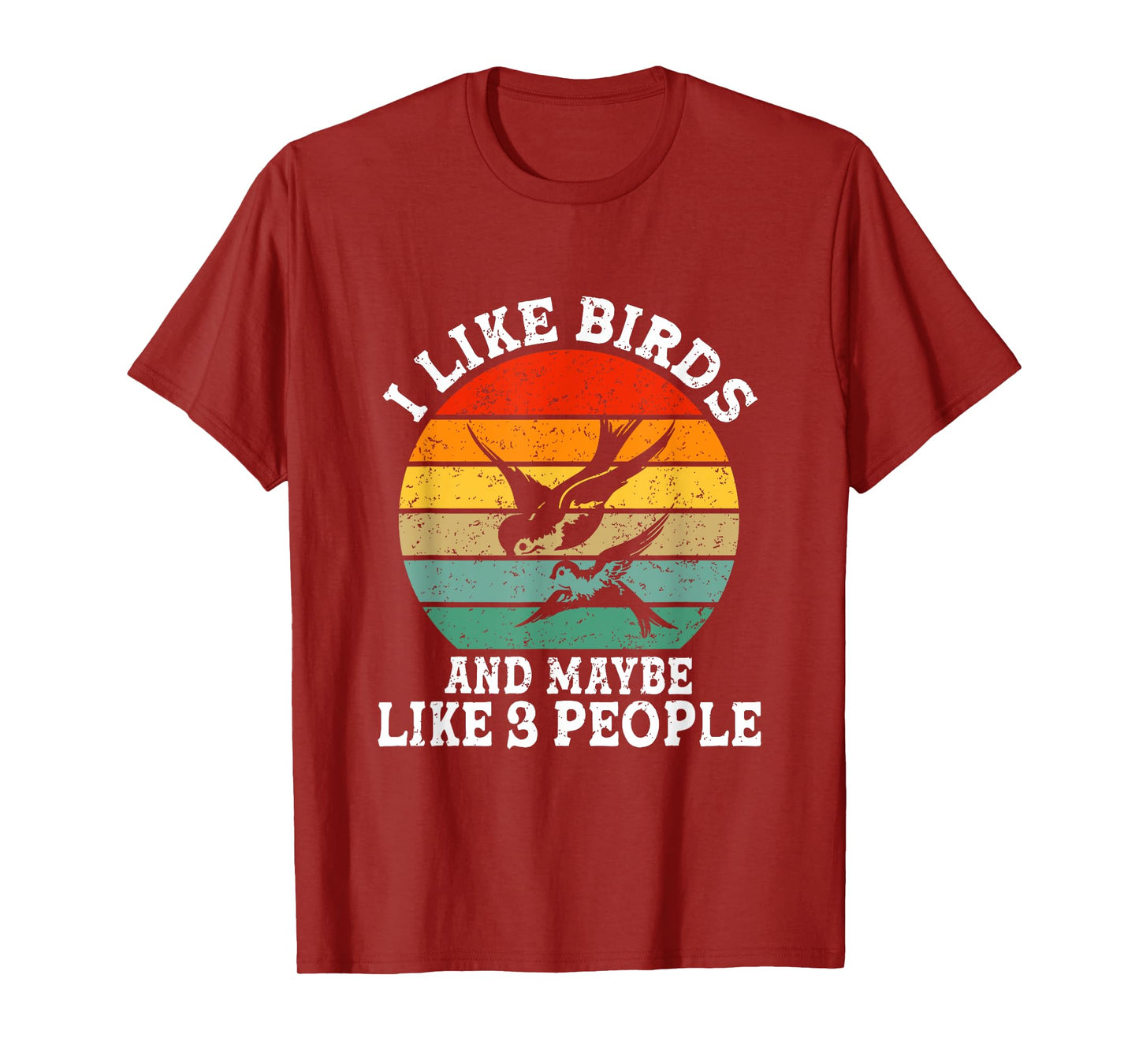 I Like Birds And Maybe 3 People Funny Retro T-Shirt