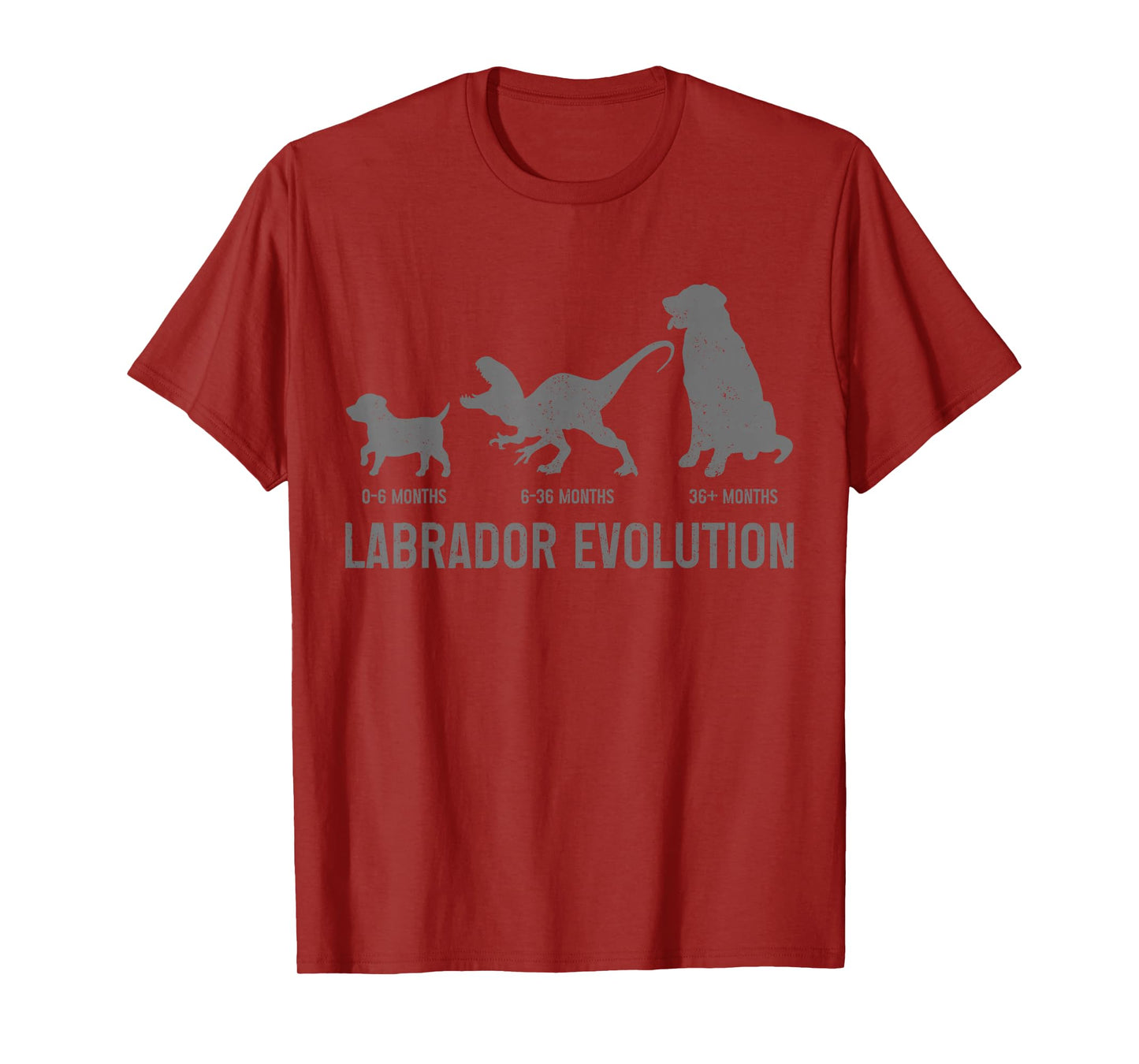 Labrador Evolution Funny Labrador Retriever Mom Dad Dog T-Shirt