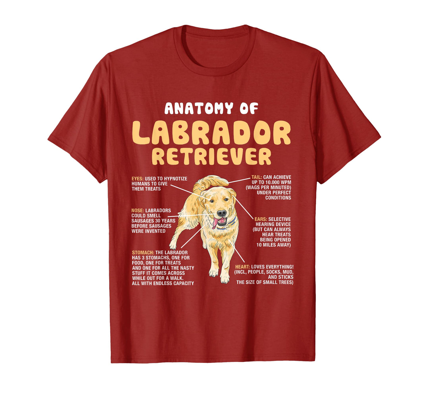 Anatomy Of Labrador Retriever Lovers Funny Lab Owners T-Shirt